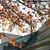 What New Windows Cost This Fall Now That Tariffs Have Hit Aluminum Frames