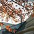 What New Windows Cost This Fall Now That Tariffs Have Hit Aluminum Frames